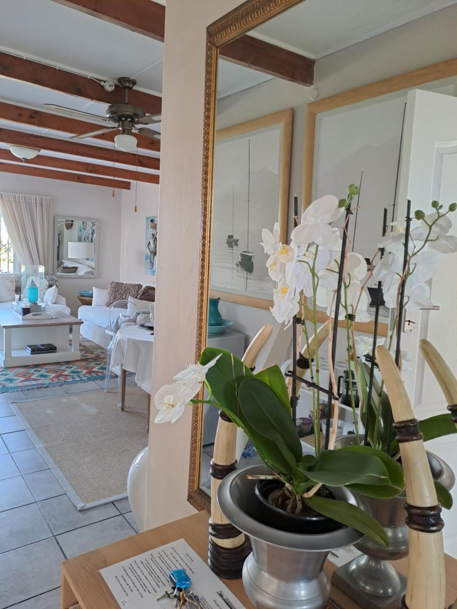 Milky Way Executive Suite Hermanus Extérieur photo